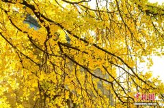 湖北襄阳秋色如画游人如织